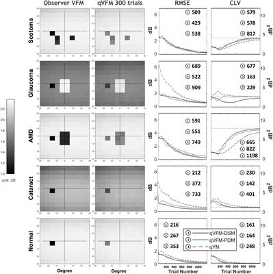 Evaluating the Performance of qVFM in Mapping the Visual Field of Simulated Observers With Eye Diseases